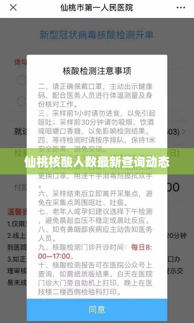 仙桃核酸人数最新查询动态
