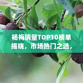杨梅销量TOP10榜单揭晓，市场热门之选，吃货必选！
