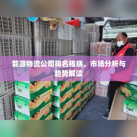 婺源物流公司排名揭晓，市场分析与趋势解读
