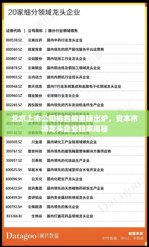 北京上市公司排名榜重磅出炉，资本市场龙头企业独家揭秘