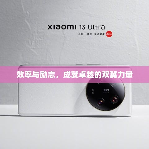 效率与励志，成就卓越的双翼力量