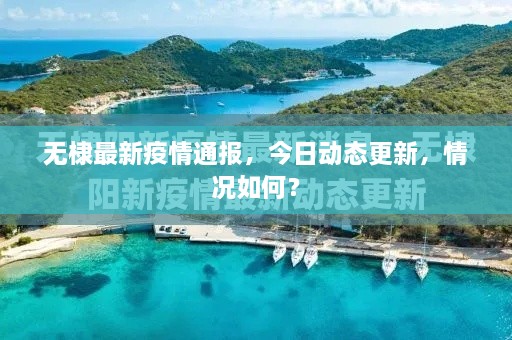 无棣最新疫情通报，今日动态更新，情况如何？