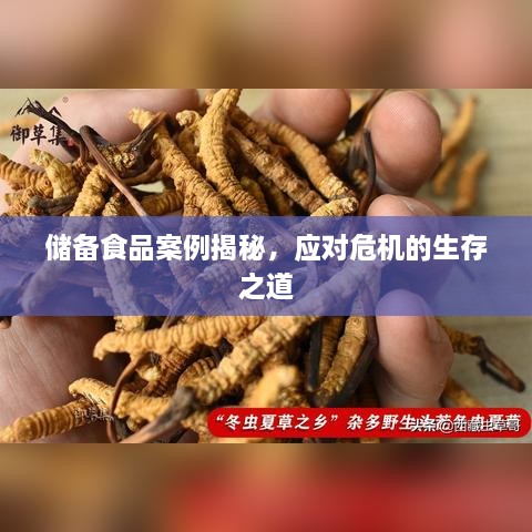 储备食品案例揭秘，应对危机的生存之道