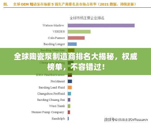 全球陶瓷泵制造商排名大揭秘，权威榜单，不容错过！