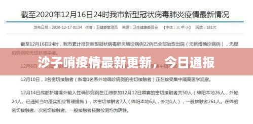 沙子哨疫情最新更新，今日通报