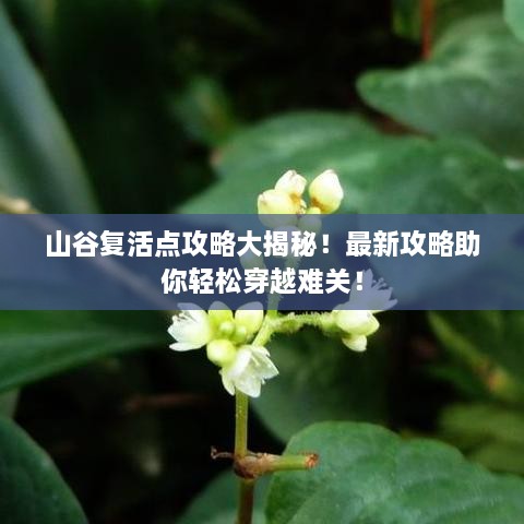 山谷复活点攻略大揭秘！最新攻略助你轻松穿越难关！