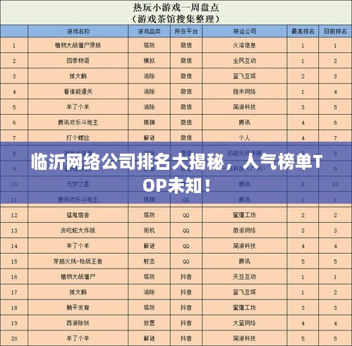 临沂网络公司排名大揭秘，人气榜单TOP未知！