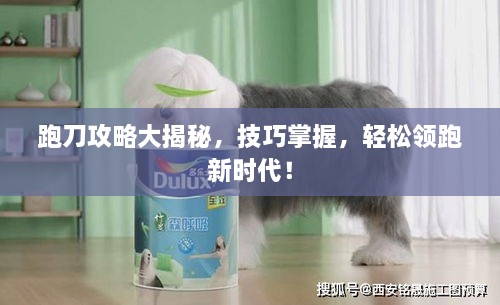 跑刀攻略大揭秘，技巧掌握，轻松领跑新时代！