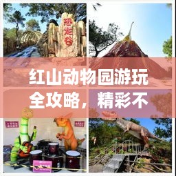 红山动物园游玩全攻略，精彩不容错过！