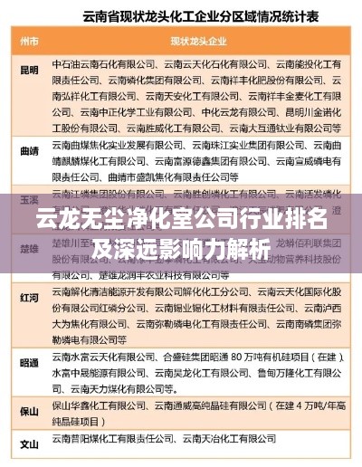 云龙无尘净化室公司行业排名及深远影响力解析