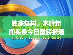 独家爆料，木叶新闻头条今日重磅报道！