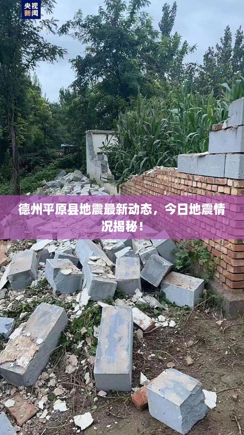 德州平原县地震最新动态，今日地震情况揭秘！