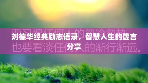 刘德华经典励志语录，智慧人生的箴言分享