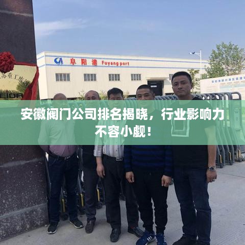 安徽阀门公司排名揭晓，行业影响力不容小觑！
