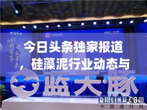 今日头条独家报道，硅藻泥行业动态与最新资讯