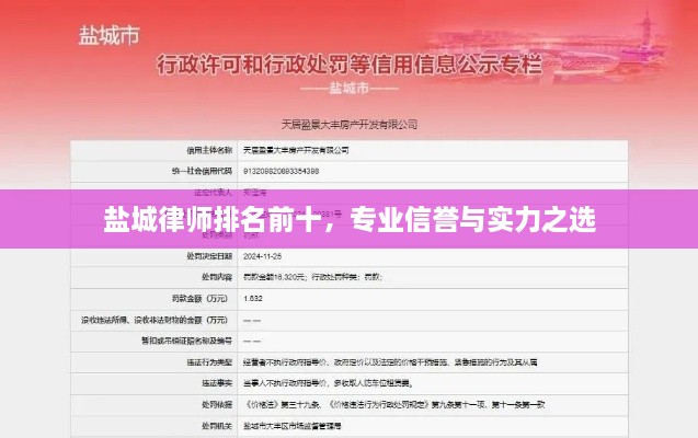 盐城律师排名前十，专业信誉与实力之选