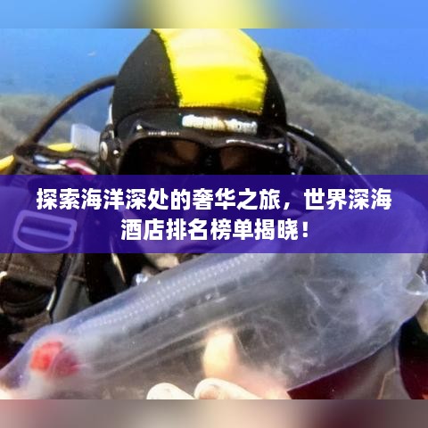 探索海洋深处的奢华之旅，世界深海酒店排名榜单揭晓！