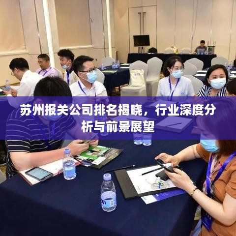 苏州报关公司排名揭晓，行业深度分析与前景展望