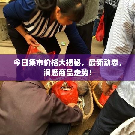 今日集市价格大揭秘，最新动态，洞悉商品走势！