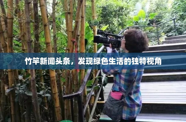 竹竿新闻头条，发现绿色生活的独特视角